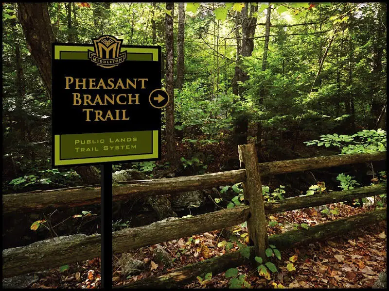 Pheasant Branch Trail