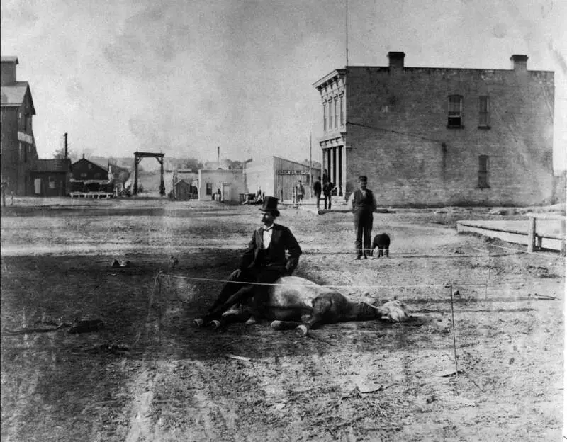 Man Sitting On A Dead Horse   Retouched