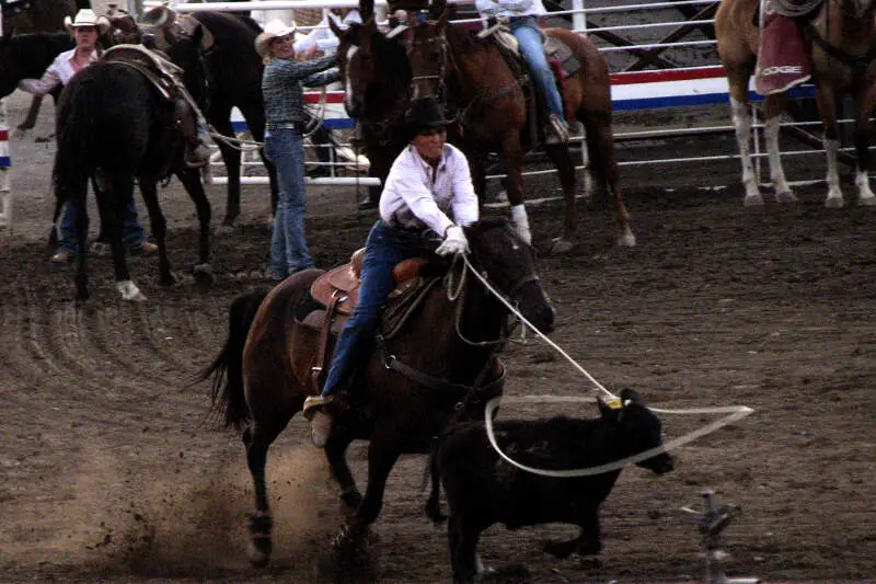 Cowgirl Lasso