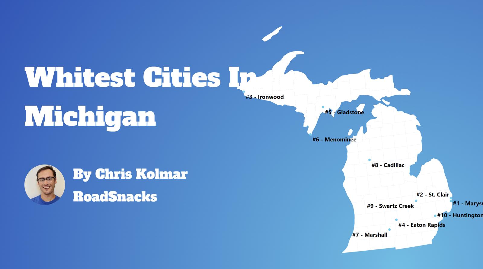 Cities With Highest White Population In Michigan Map